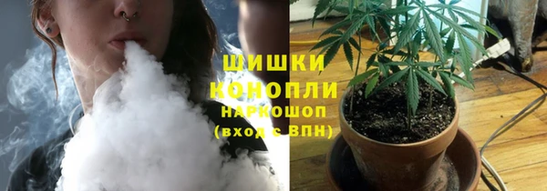 стаф Белокуриха