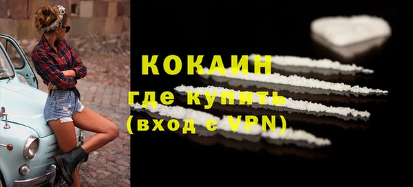 стаф Белокуриха