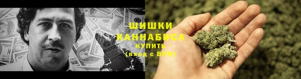 стаф Белокуриха