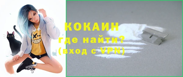 стаф Белокуриха