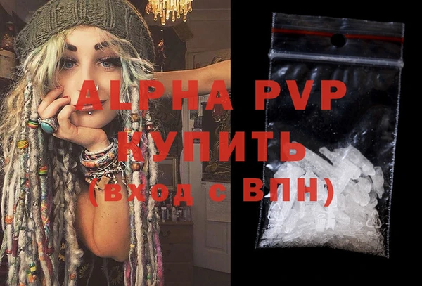 стаф Белокуриха