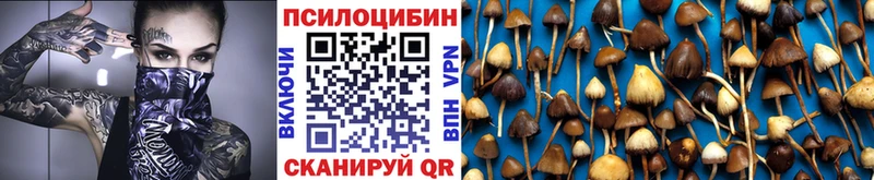 Галлюциногенные грибы мицелий Кашин