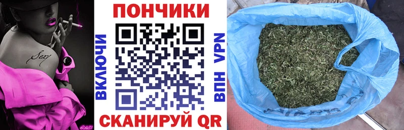 Канабис планчик  купить наркоту  Кашин 